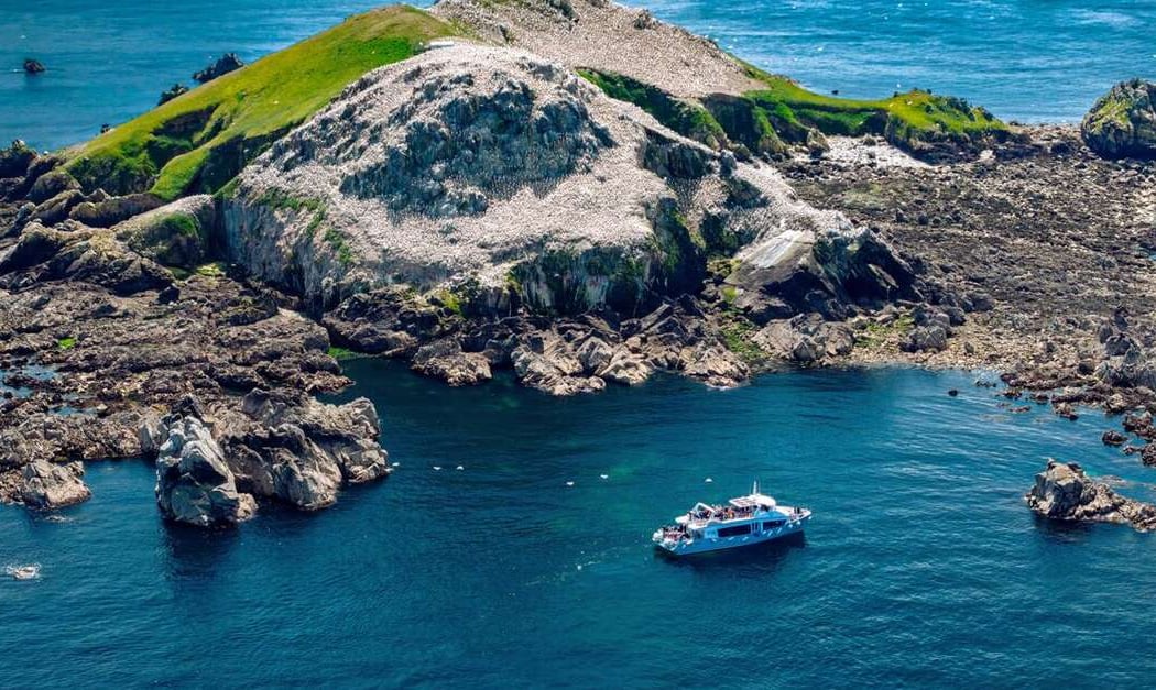 Archipel des 7 Îles Balade découverte d’1h45 5